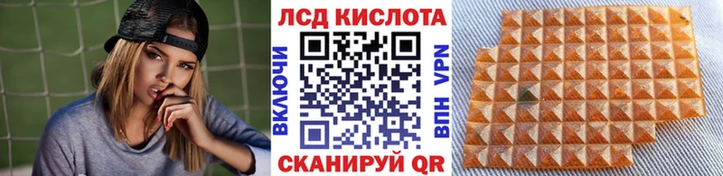 где продают наркотики  Каргополь  Марки 25I-NBOMe 1,5мг 