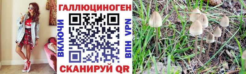 Псилоцибиновые грибы Psilocybine cubensis  блэк спрут рабочий сайт  Каргополь 